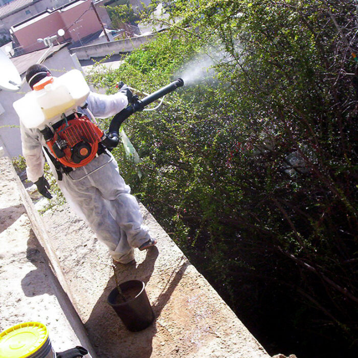 disinfestazione-foto-2