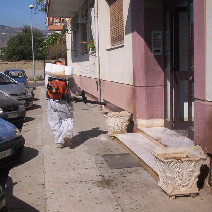 disinfestazione-foto-5